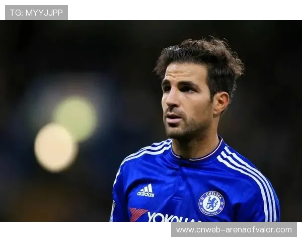 法布雷加斯推出新书深谈执教理念与现代足球战术哲学 法布雷加斯推出新书深谈执教理念与现代足球战术哲学